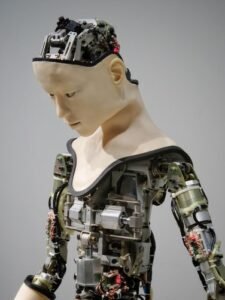 The Autonomous Robots